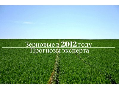 Эксперт прогнозирует сокращение площадей под зерновые в 2021 году