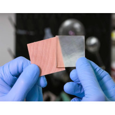 Создана прозрачная древесина