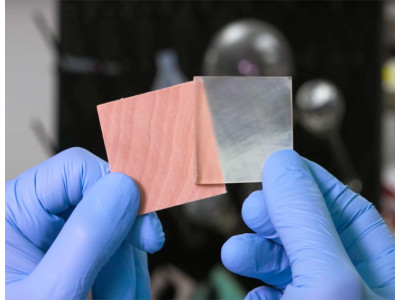 Создана прозрачная древесина