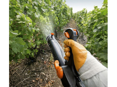 Традиционные и новые удобрения винограда